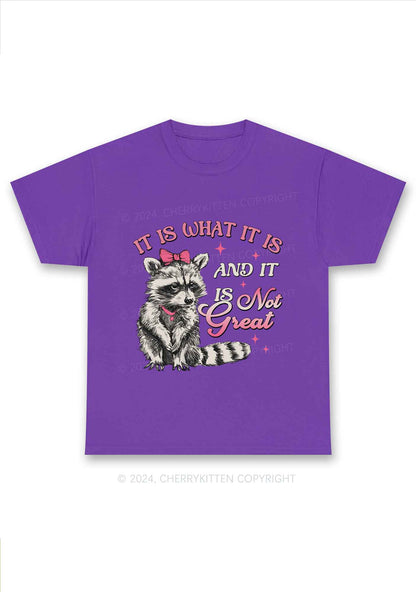 Not Great Raccoon Y2K Chunky Shirt Cherrykitten