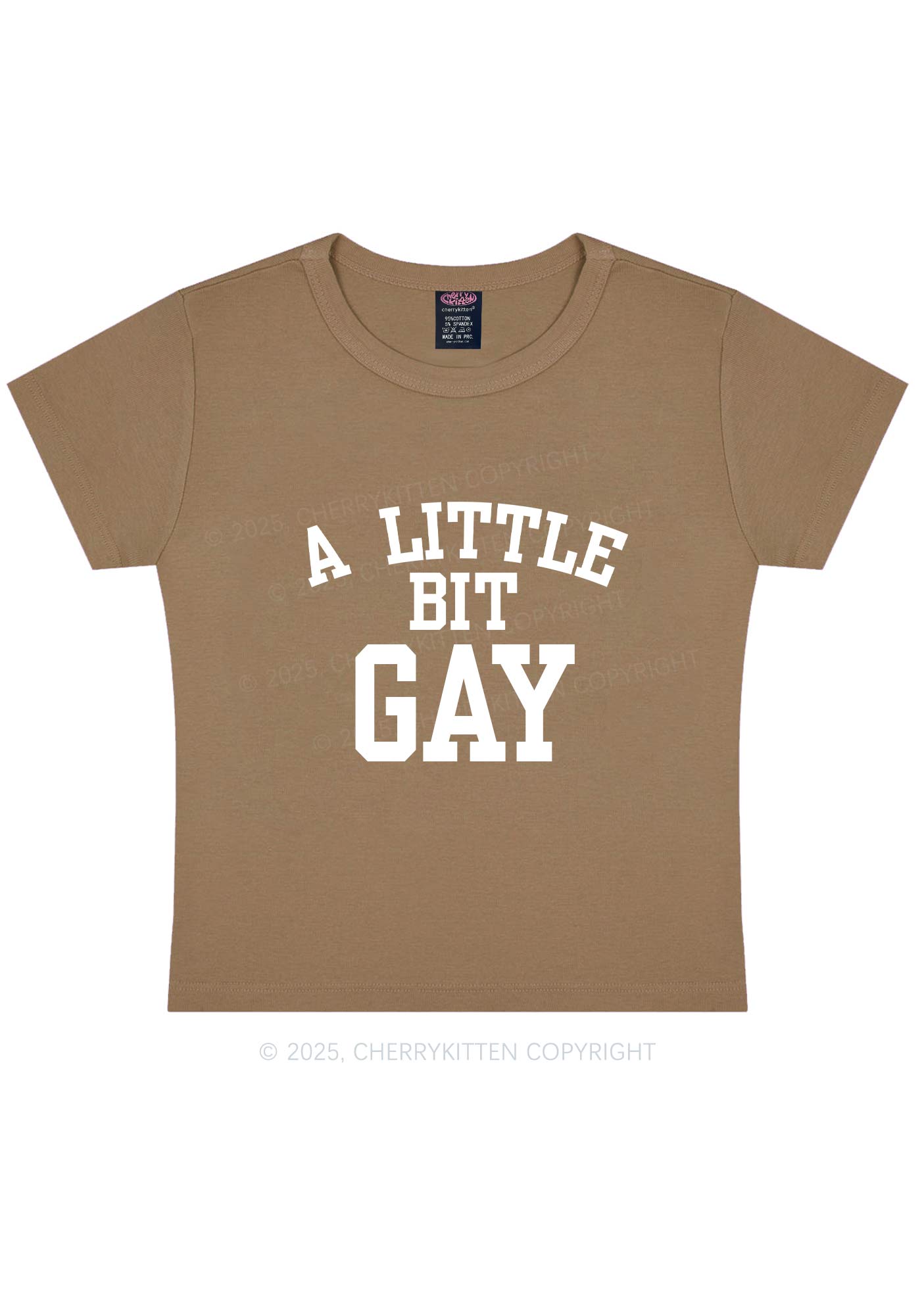 A Little Bit Gay Y2K Baby Tee Cherrykitten