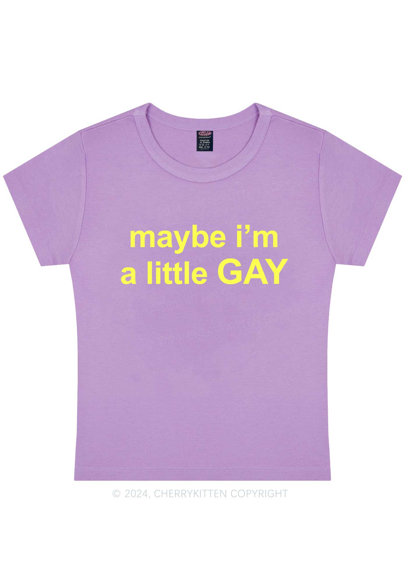 Maybe I'm A Gay Y2K Baby Tee Cherrykitten