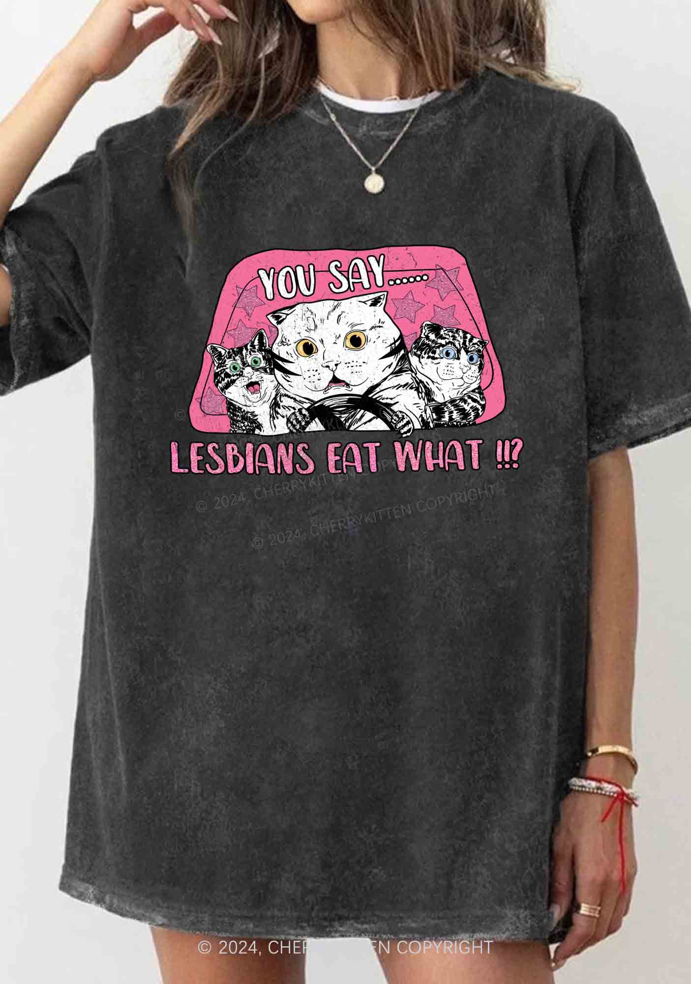You Say Lesbians Eat What Y2K Washed Tee Cherrykitten