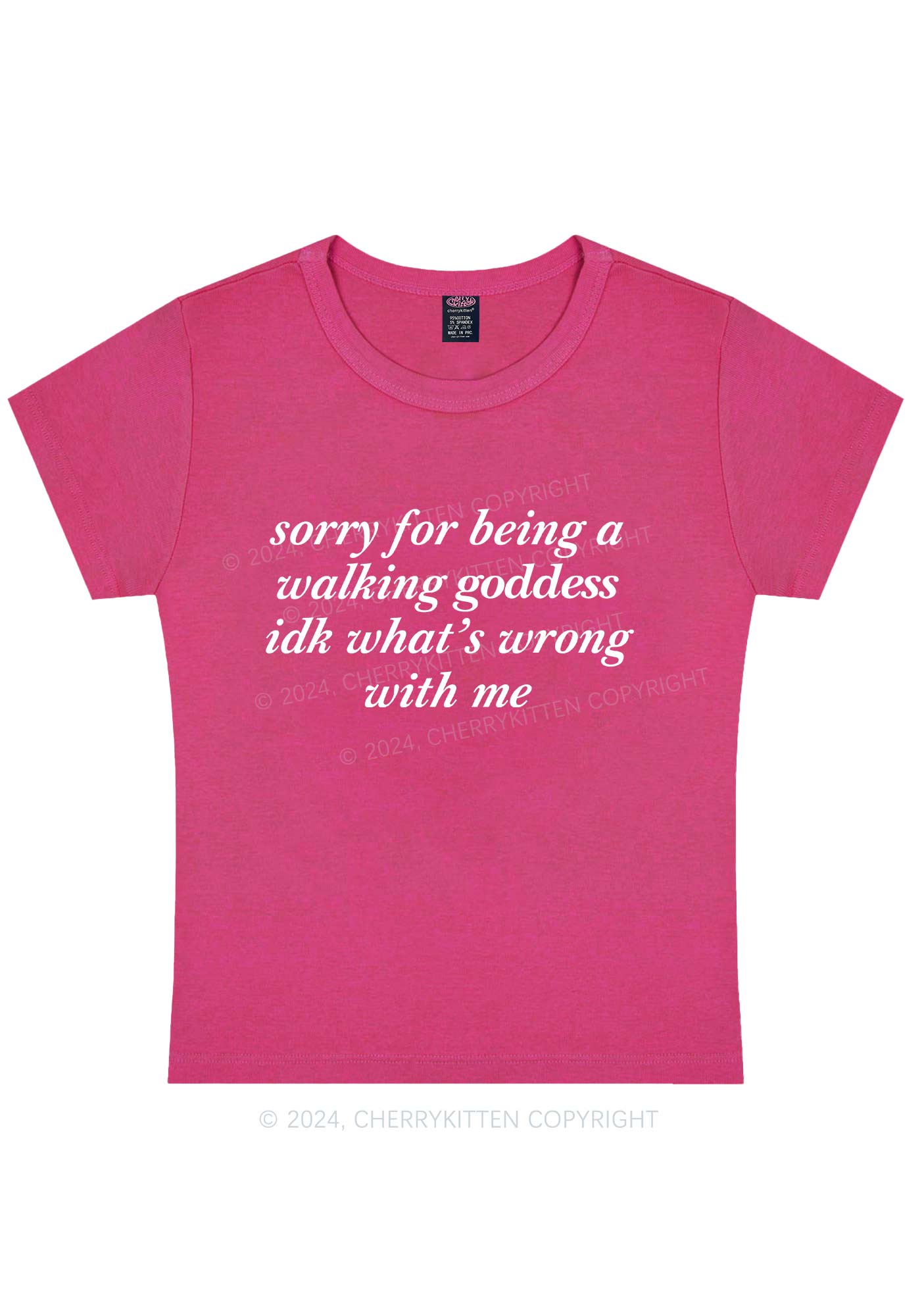 Sorry For Being A Walking Godness Y2K Baby Tee Cherrykitten