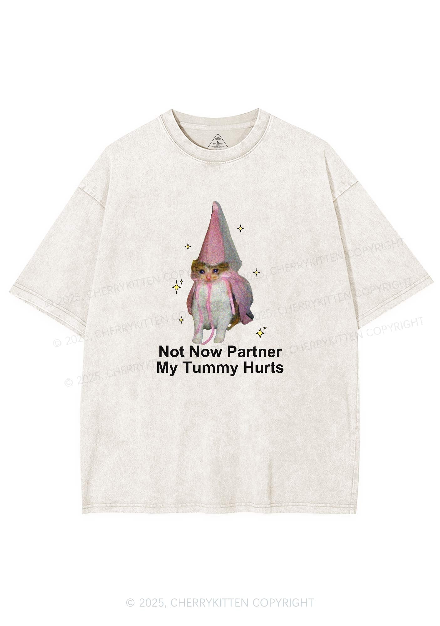 Tummy Hurts Cat Y2K Washed Tee Cherrykitten