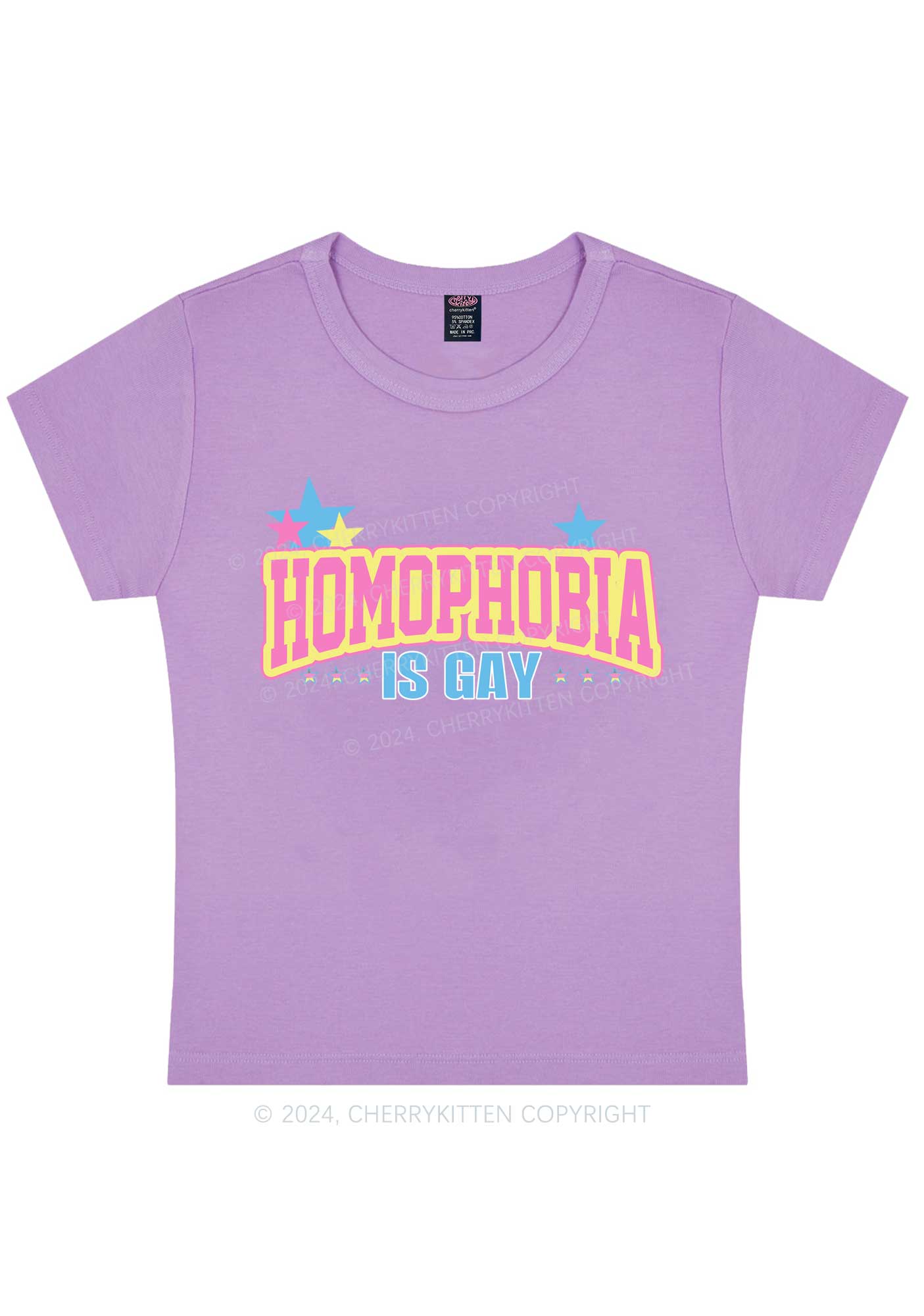 Curvy Homophobia Is Gay Y2K Baby Tee Cherrykitten