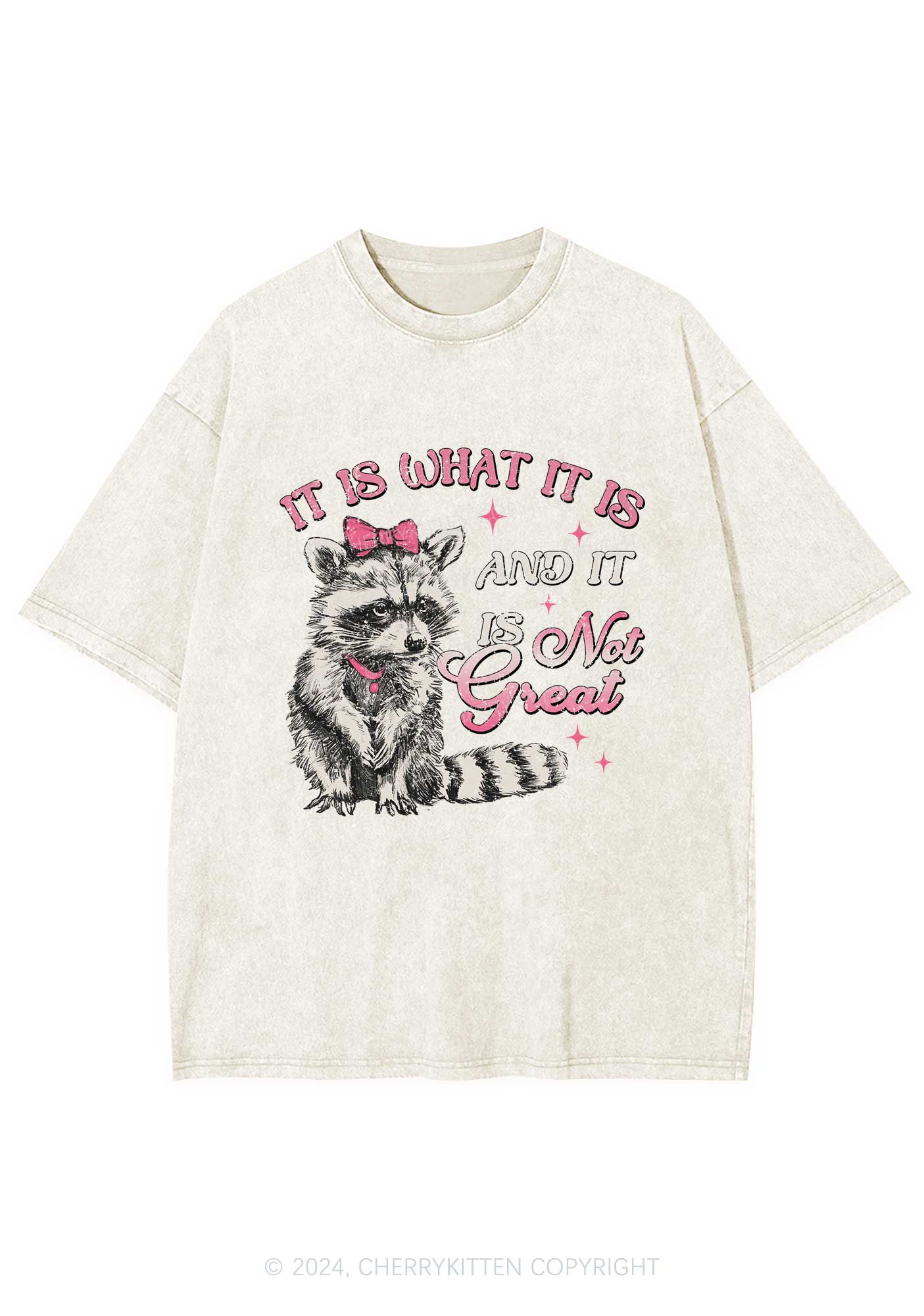 Not Great Raccoon Y2K Washed Tee Cherrykitten