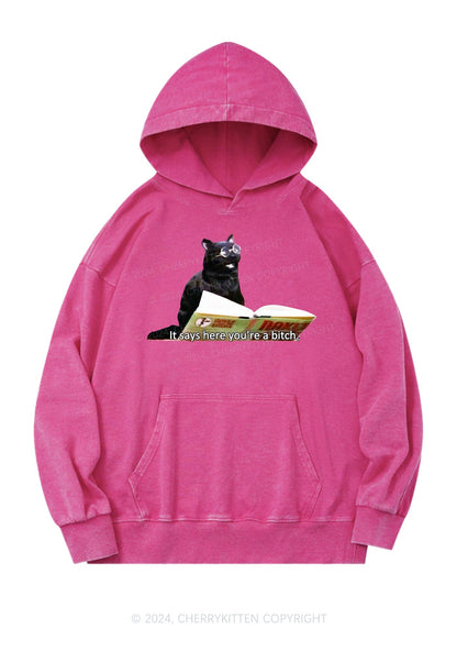 It Says Here You're A Bixxh Y2K Washed Hoodie Cherrykitten