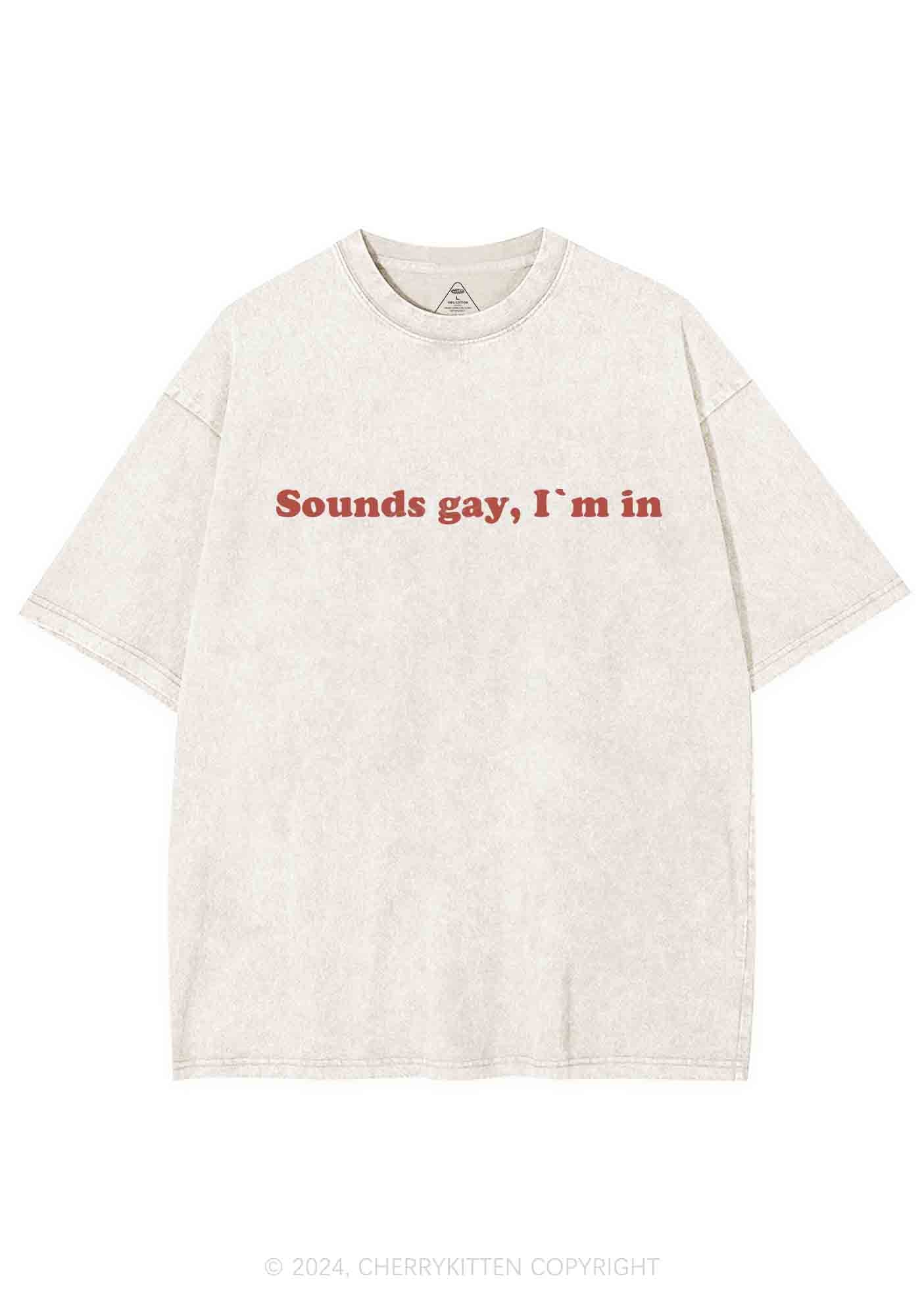 Sounds Gay Y2K Washed Tee Cherrykitten