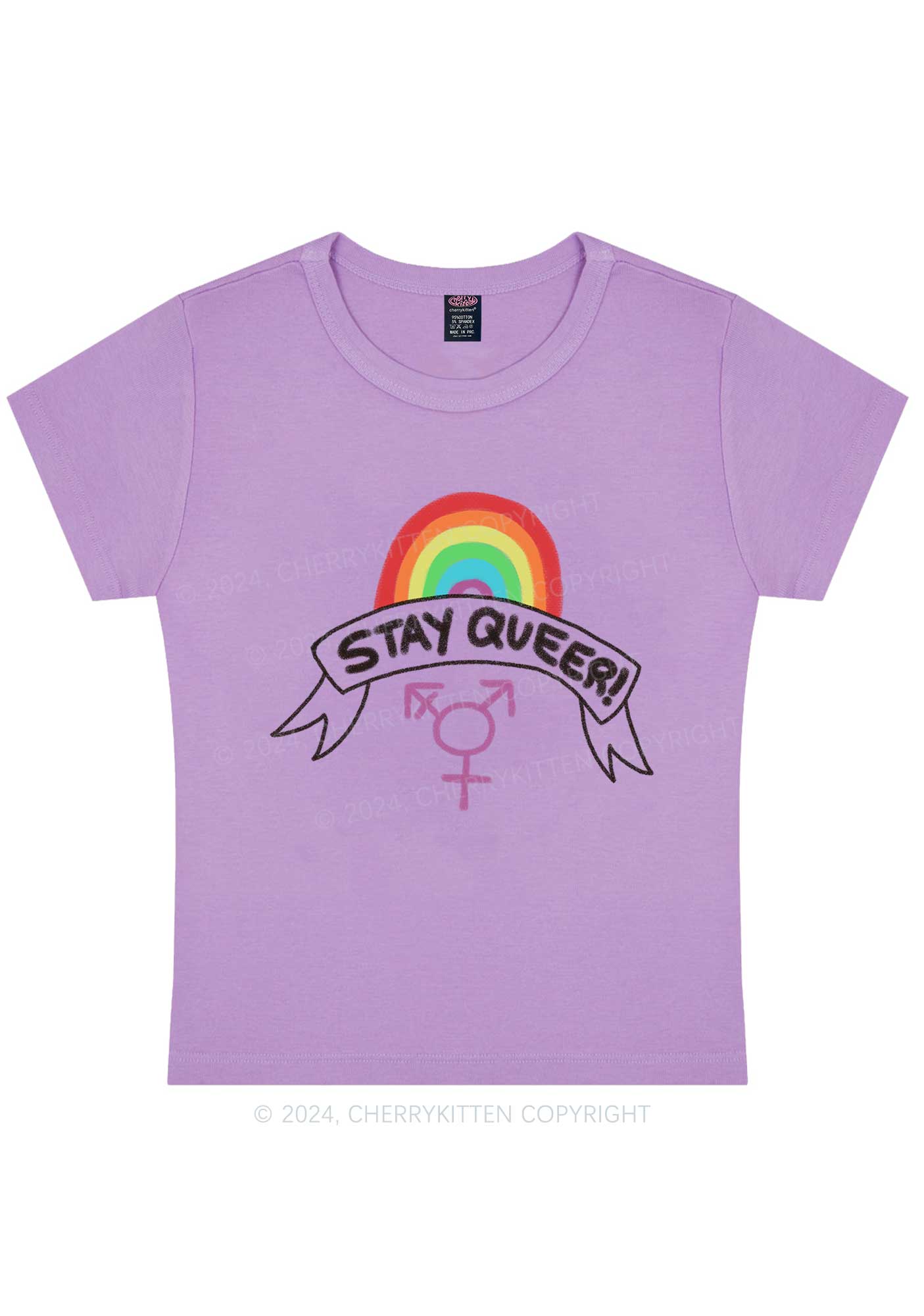 Curvy Stay Queer Y2K Baby Tee Cherrykitten