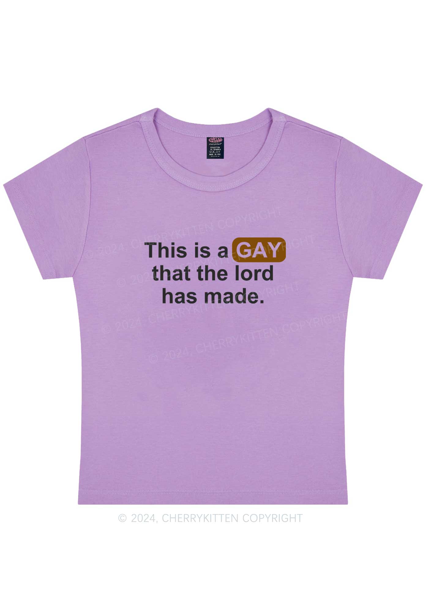 Curvy Lord Made Gay Y2K Baby Tee Cherrykitten