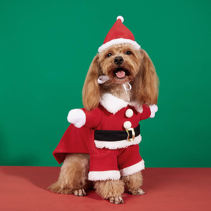 Santa claus shop dog costume