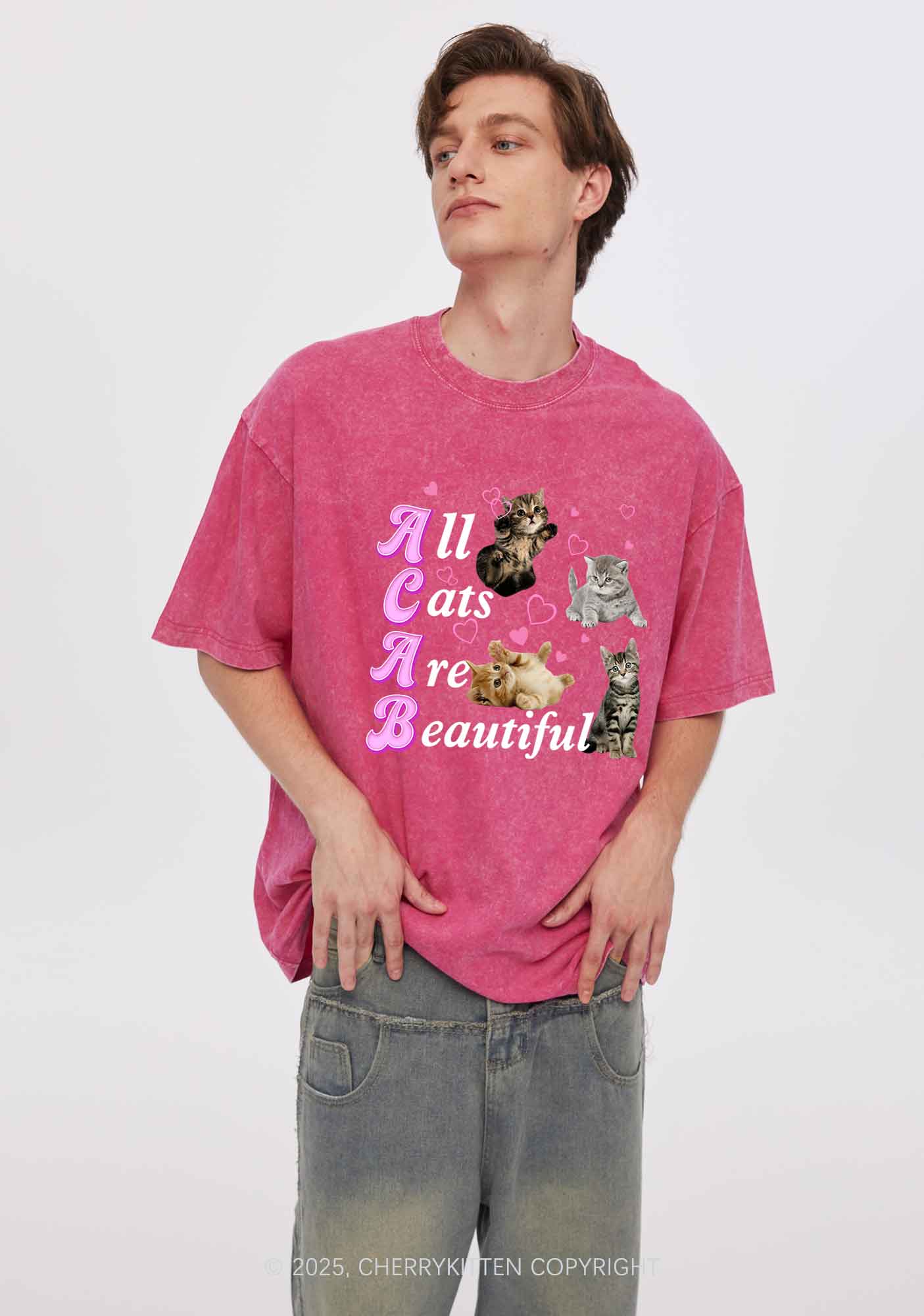 All Cats Are Beautiful Y2K Washed Tee Cherrykitten