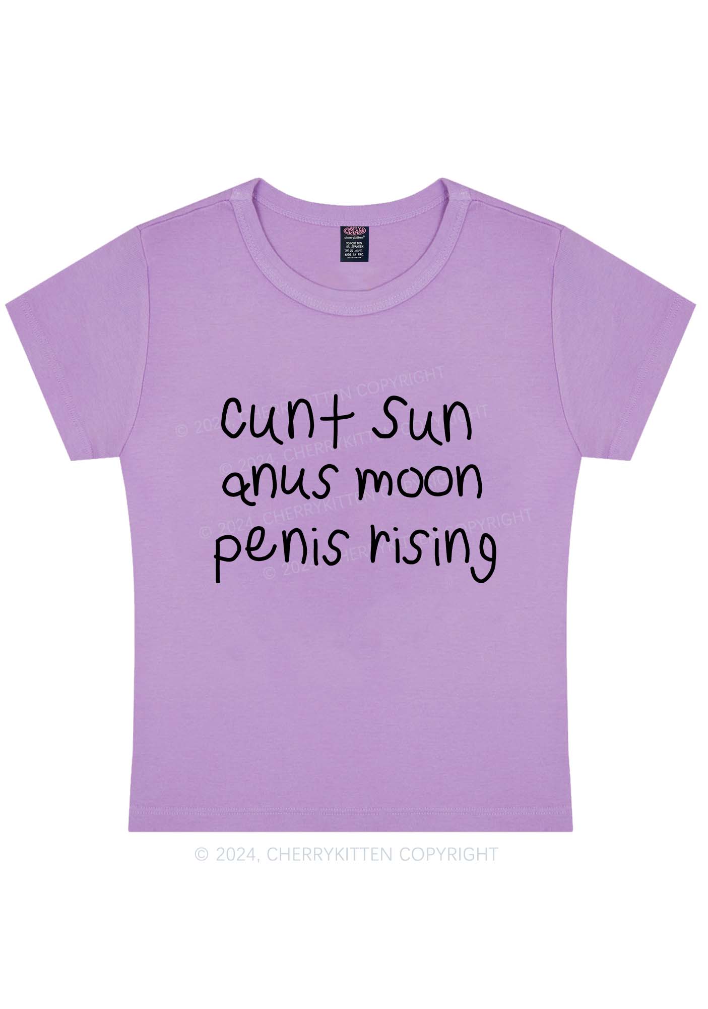 Curvy Count Sun Y2K Baby Tee Cherrykitten