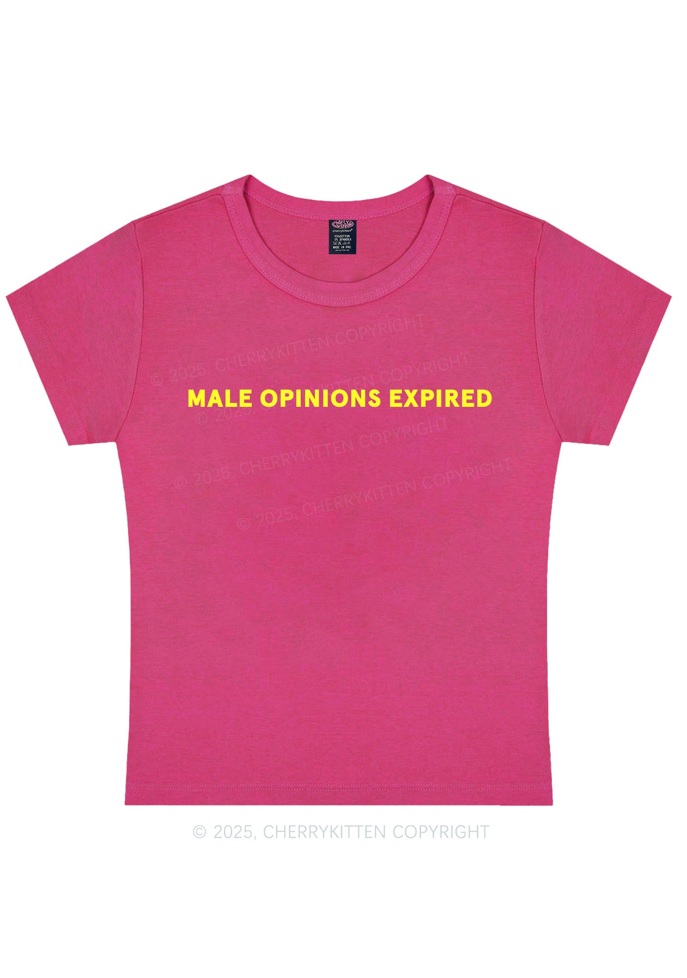 Male Opinions Expired Y2K Baby Tee Cherrykitten