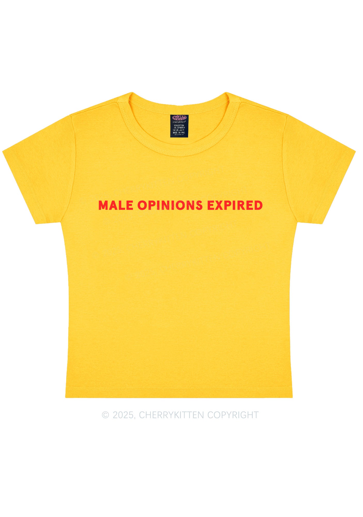 Male Opinions Expired Y2K Baby Tee Cherrykitten