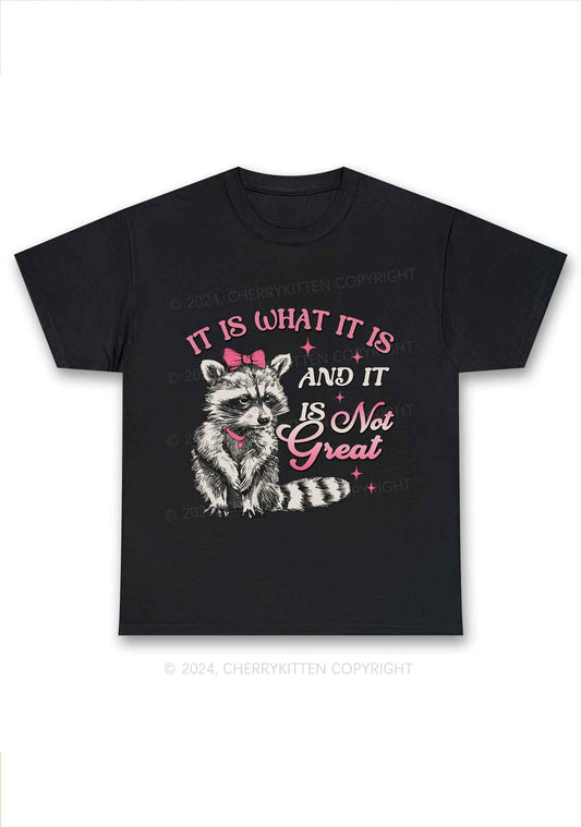 Not Great Raccoon Y2K Chunky Shirt Cherrykitten