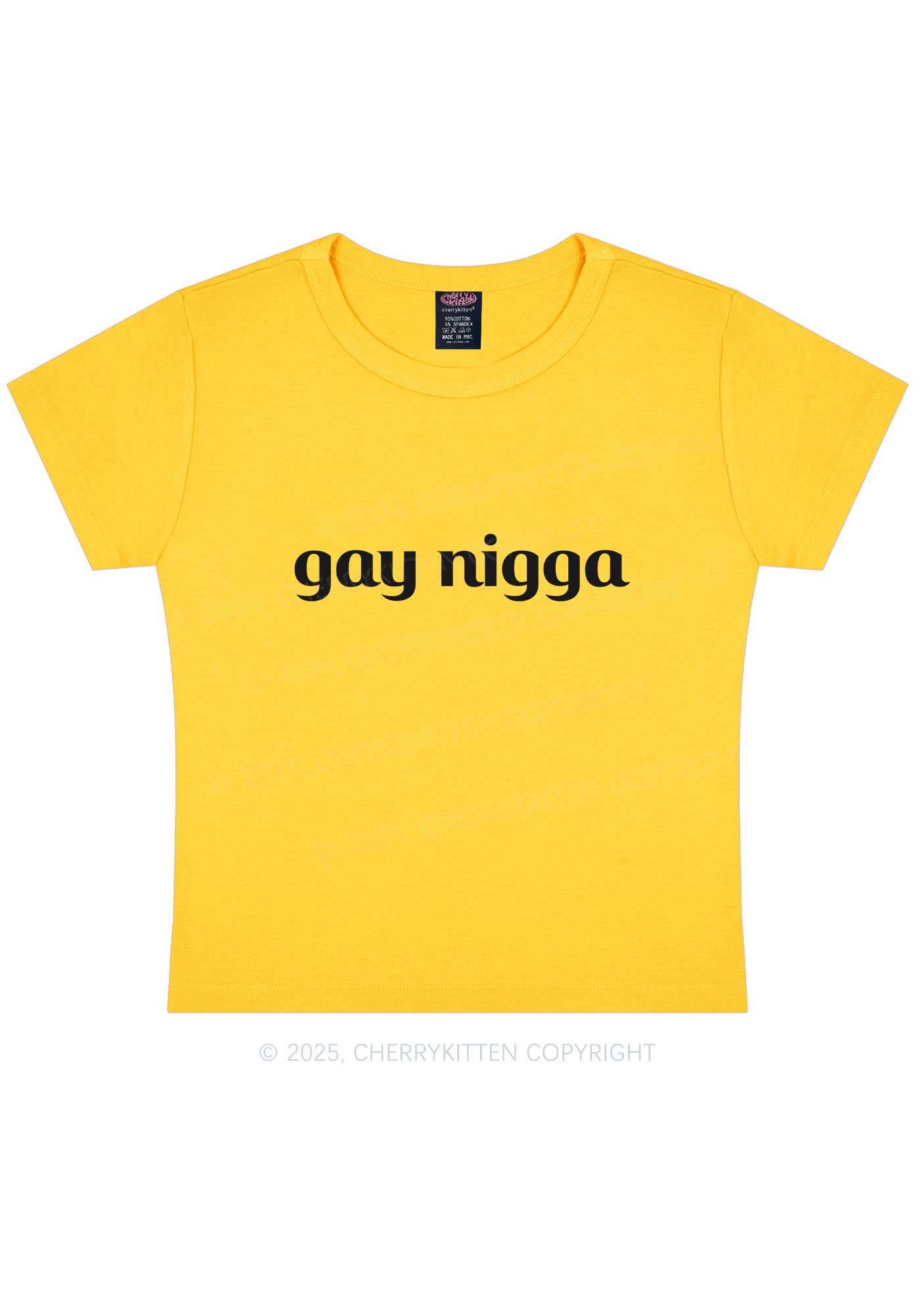 Gay Nigga Y2K Baby Tee Cherrykitten