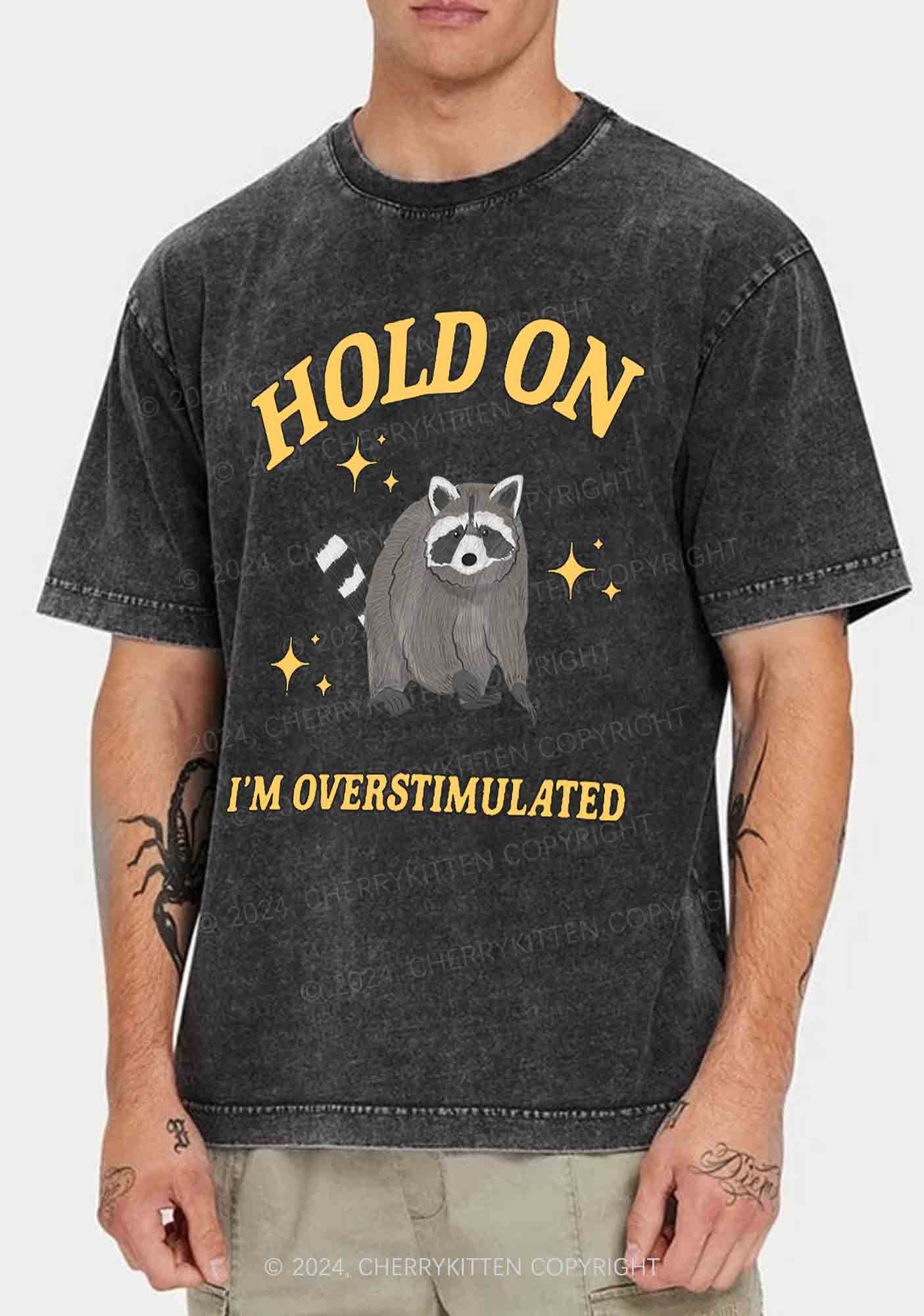 Hold On I'm Overstimulated Y2K Washed Tee Cherrykitten