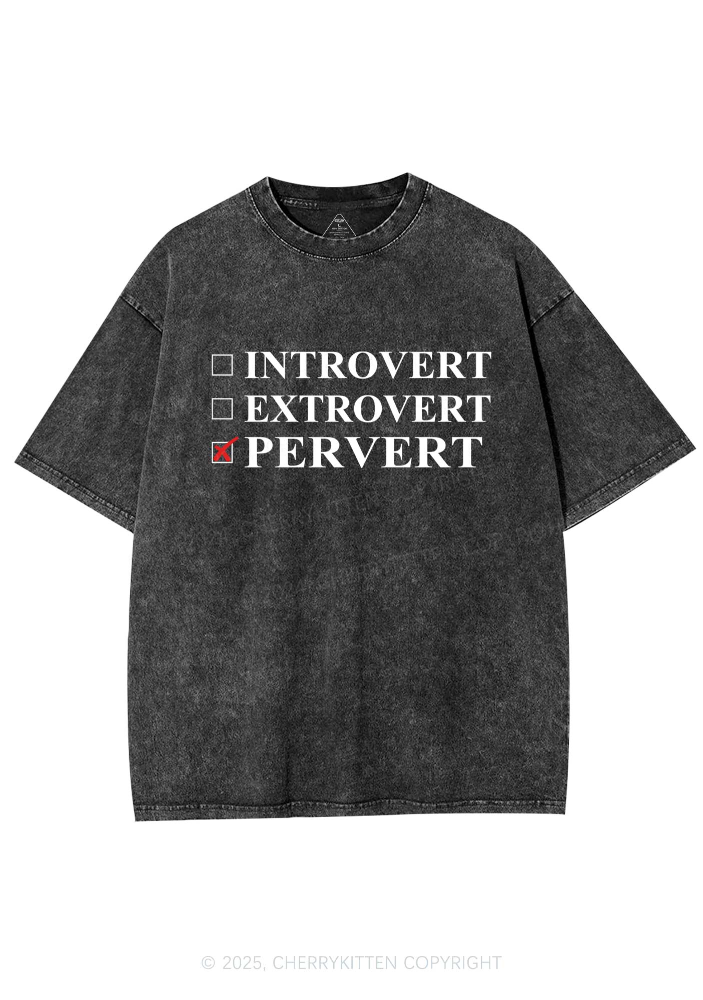 Be Pervert Y2K Washed Tee Cherrykitten