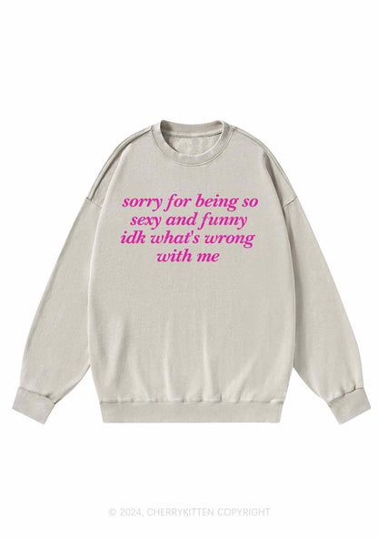 Sorry For Being So Funny Y2K Washed Sweatshirts Cherrykitten