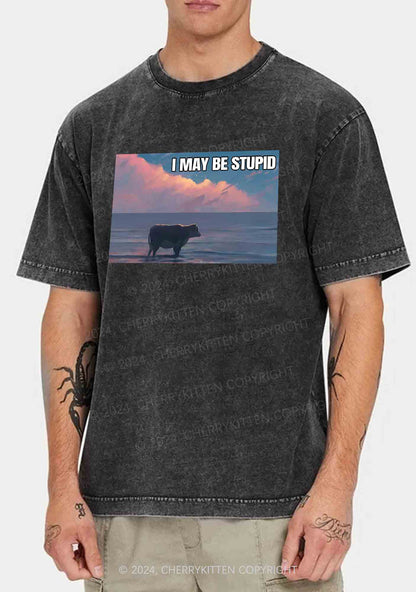 I May Be Stupid Meme Y2K Washed Tee Cherrykitten