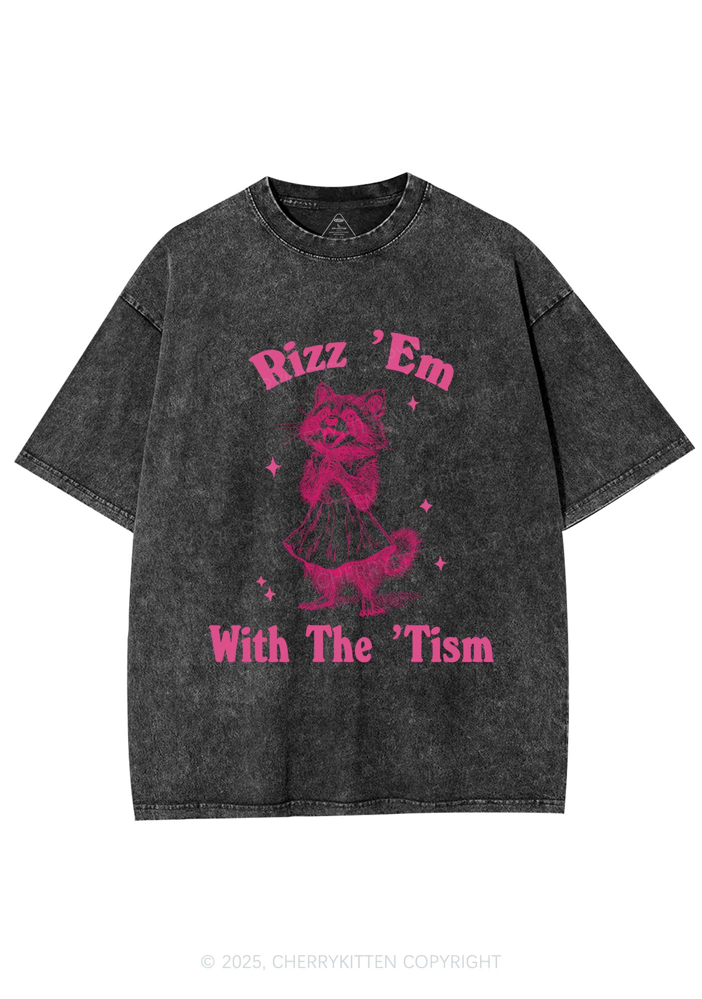 Rizz Em With The Tism Y2K Washed Tee Cherrykitten