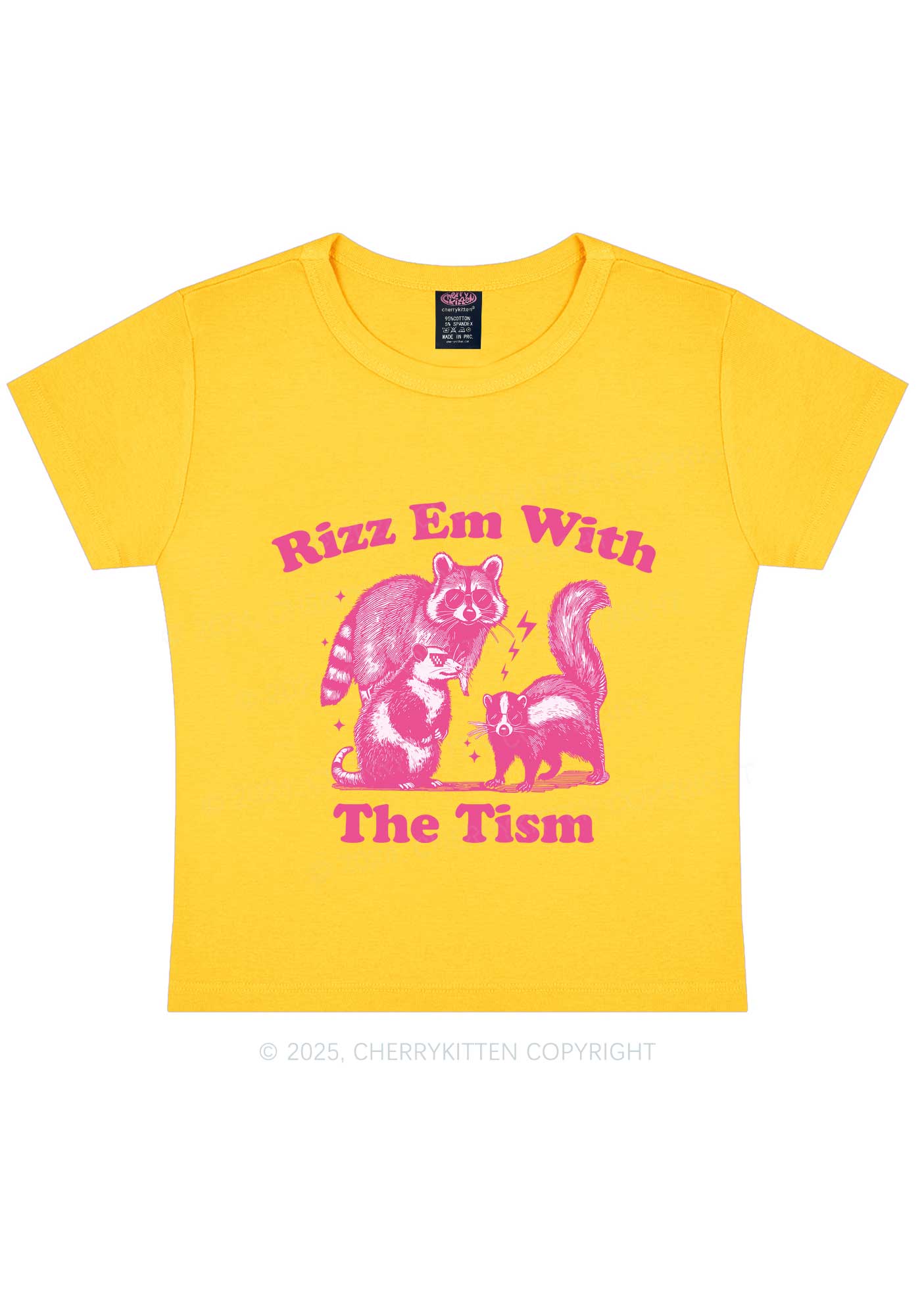 Rizz Em The Tism Y2K Baby Tee Cherrykitten