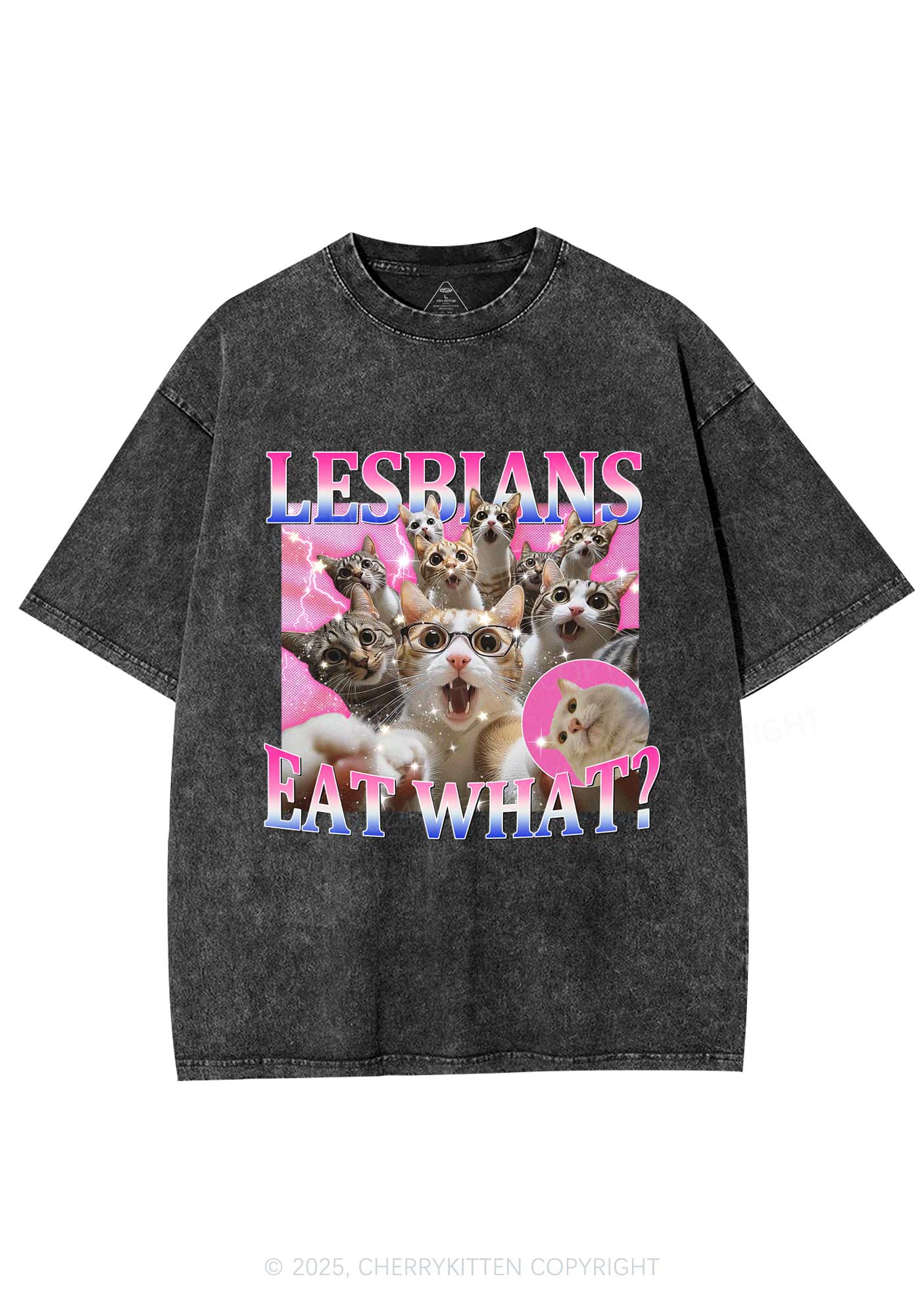 Lesbians Eat What Cat Y2K Washed Tee Cherrykitten