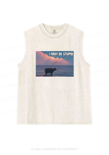 I May Be Stupid Meme Y2K Washed Tank Cherrykitten