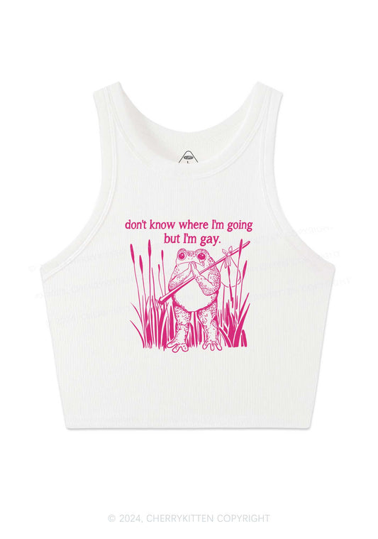 But I Am Gay Y2K Crop Tank Top Cherrykitten