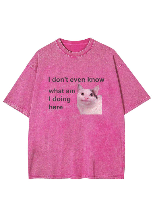 What Am I Doing Here Y2K Washed Tee Cherrykitten