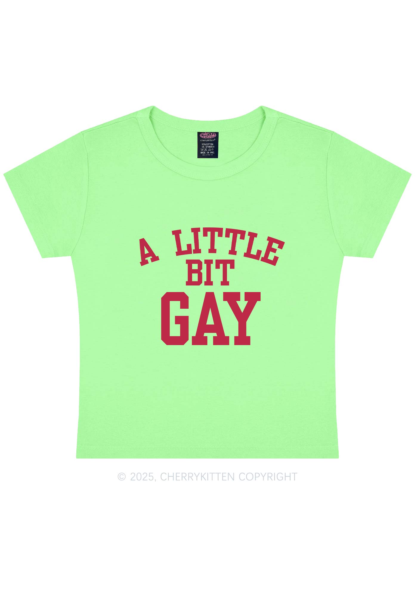 A Little Bit Gay Y2K Baby Tee Cherrykitten