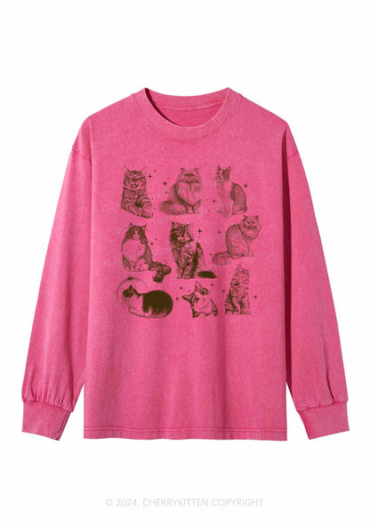 Retro Kitten Y2K Washed Long Sleeves Cherrykitten