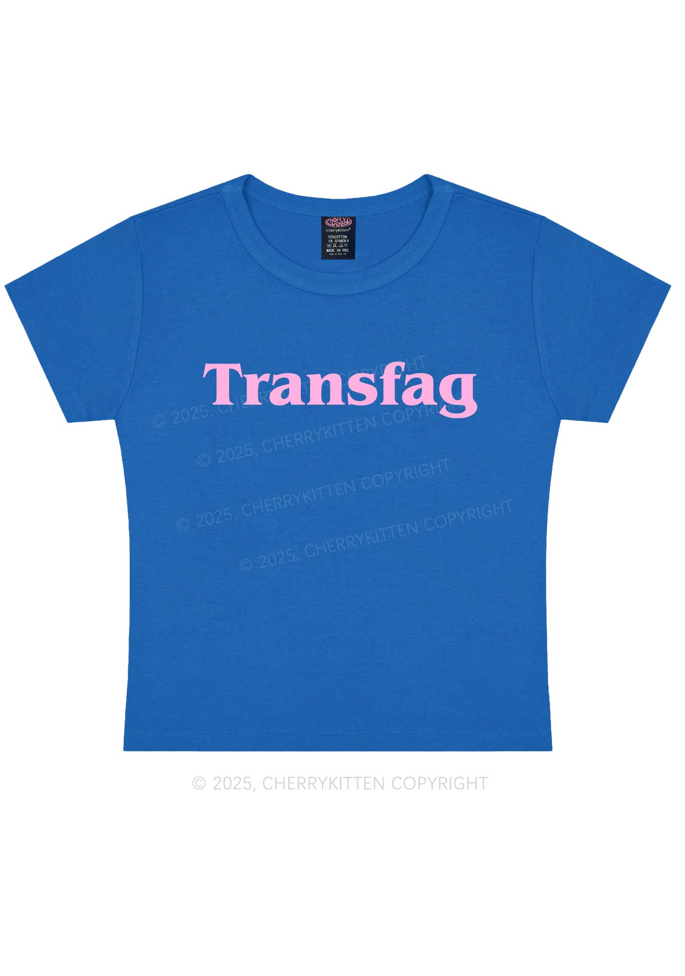 Transfag Y2K Baby Tee Cherrykitten