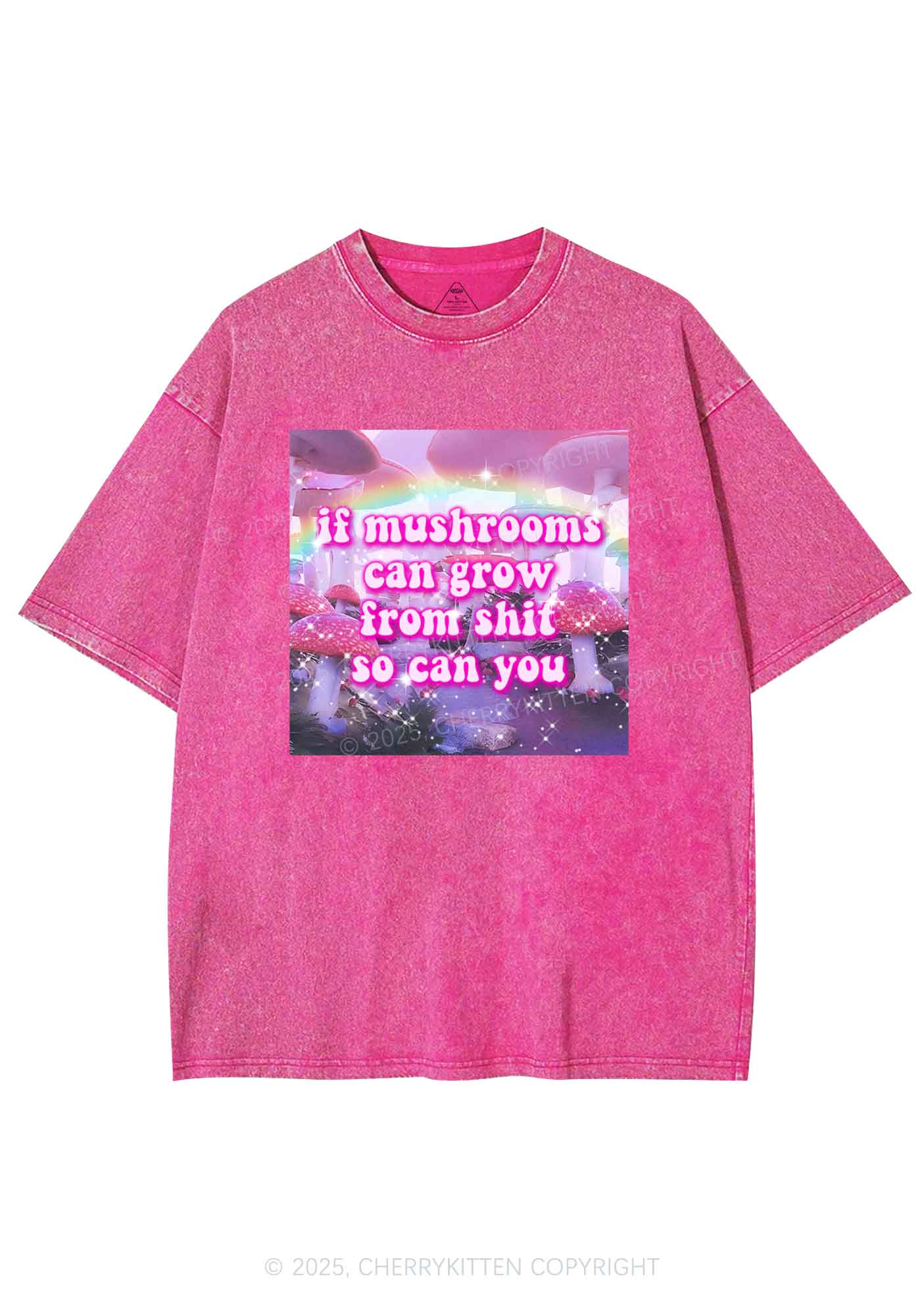 Mushrooms Grow From Shxt Y2K Washed Tee Cherrykitten