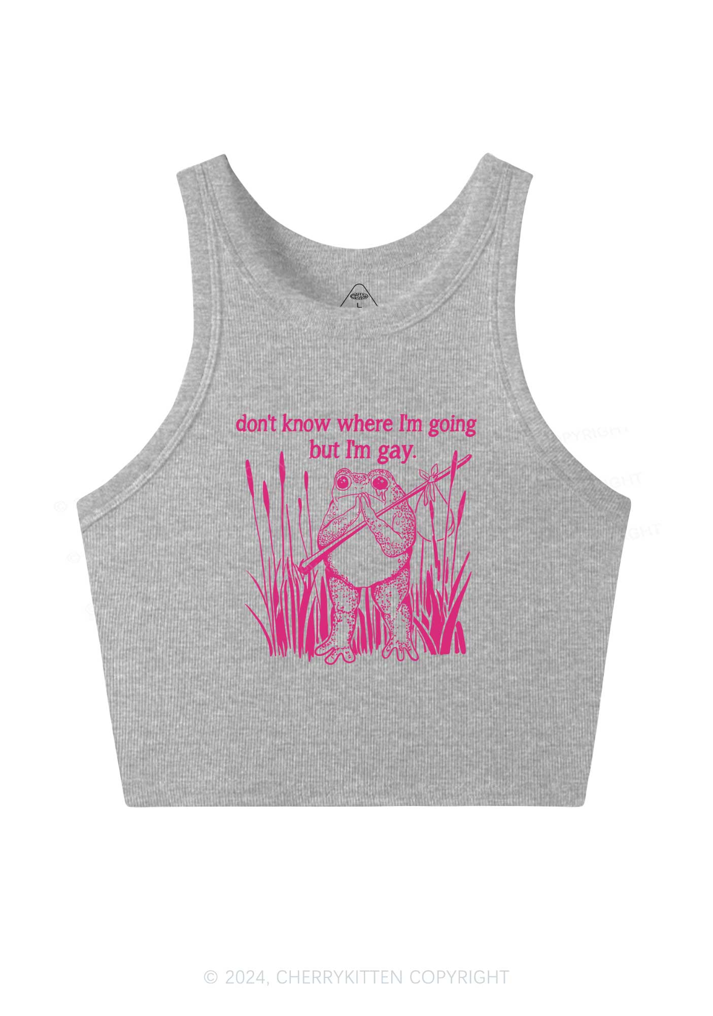 But I Am Gay Y2K Crop Tank Top Cherrykitten