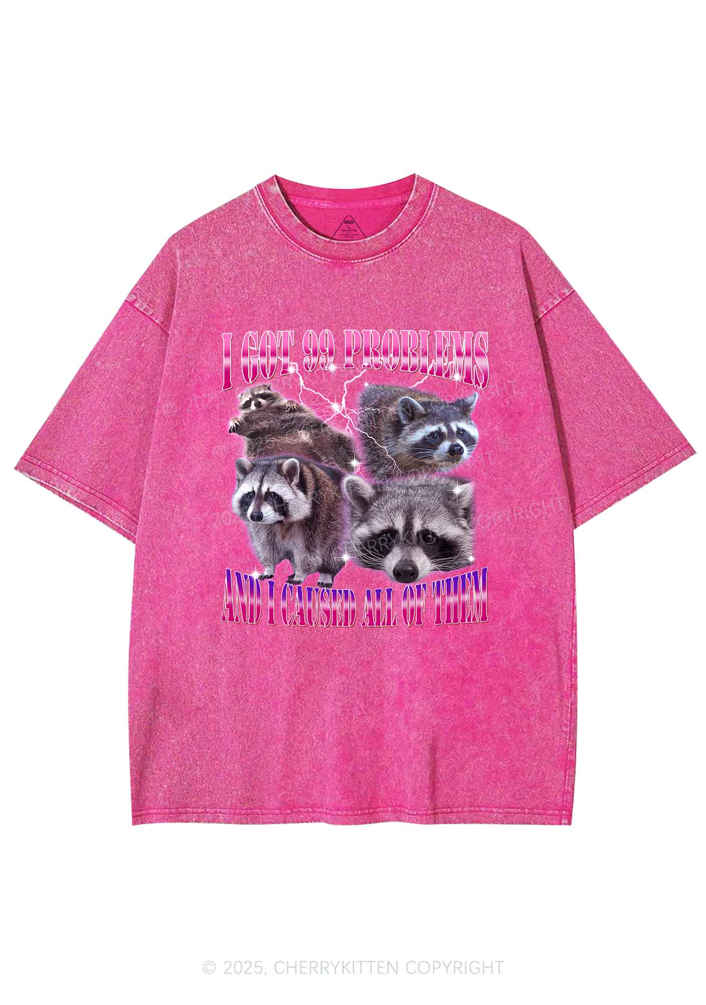 Raccoon Got Problems Y2K Washed Tee Cherrykitten