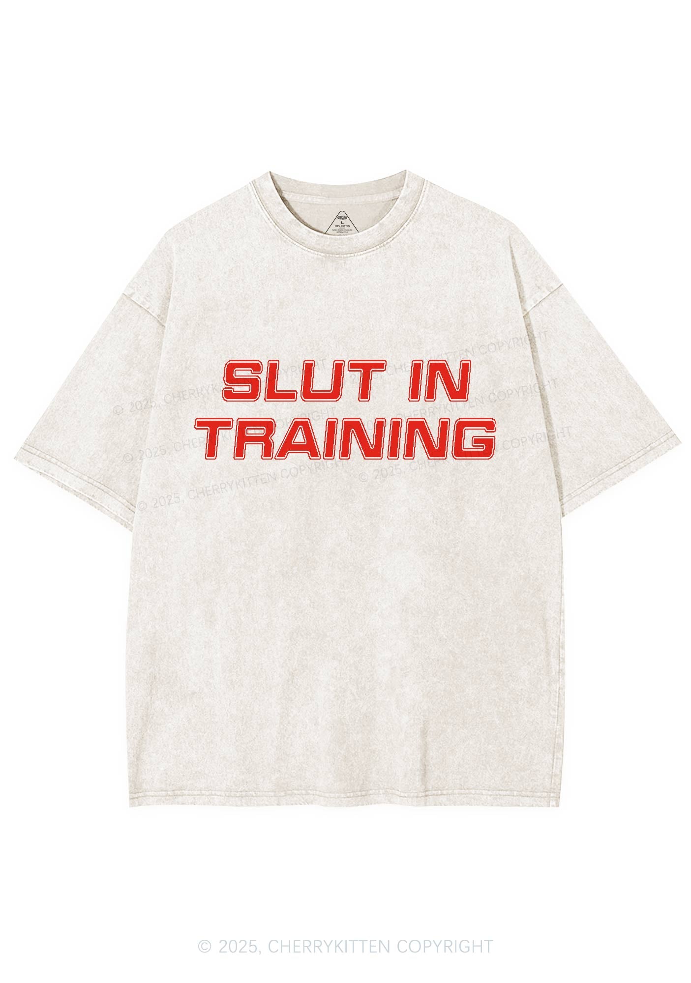 Slxt In Training Y2K Washed Tee Cherrykitten