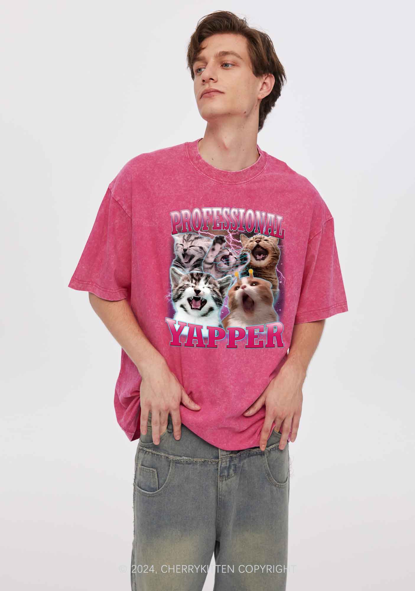 Professional Yapper Cat Y2K Washed Tee Cherrykitten