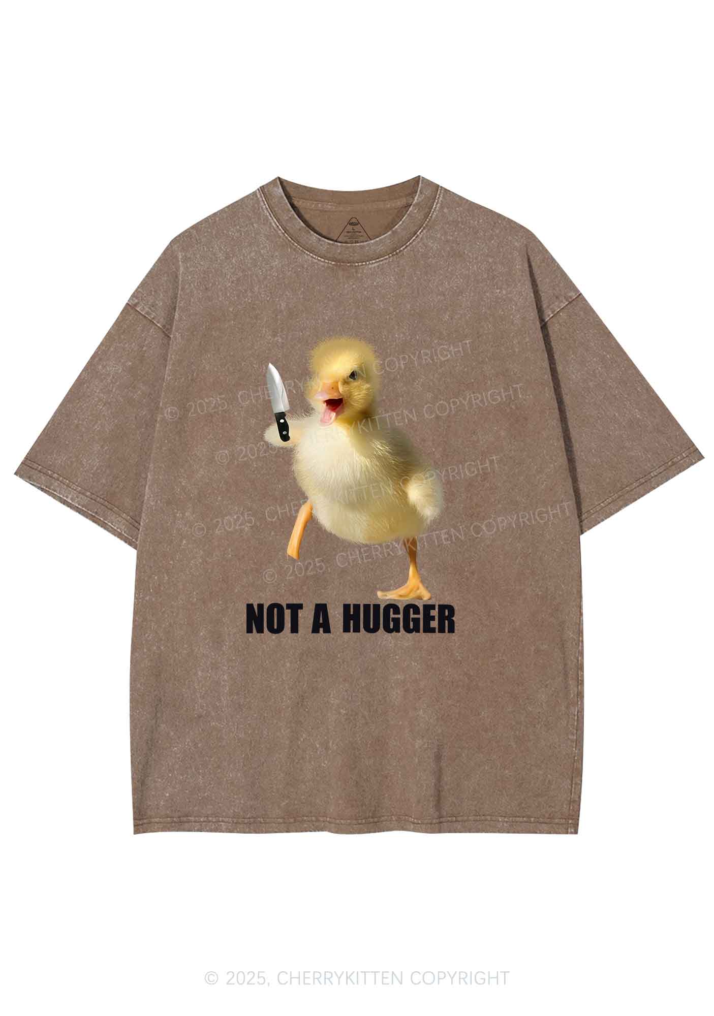 Not A Hugger Y2K Washed Tee Cherrykitten