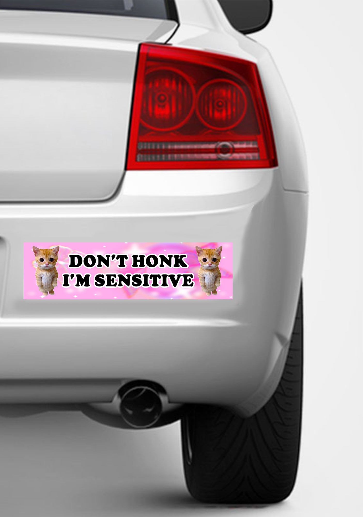 I'm Sensitive Y2K Car Bumper Magnet Cherrykitten