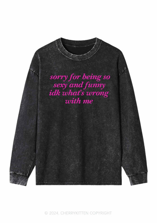 Sorry For Being So Funny Y2K Washed Long Sleeves Cherrykitten