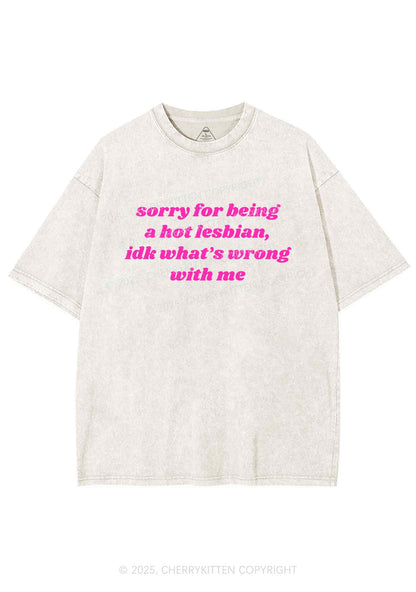 Sorry For Being Hot Lesbian Y2K Washed Tee Cherrykitten