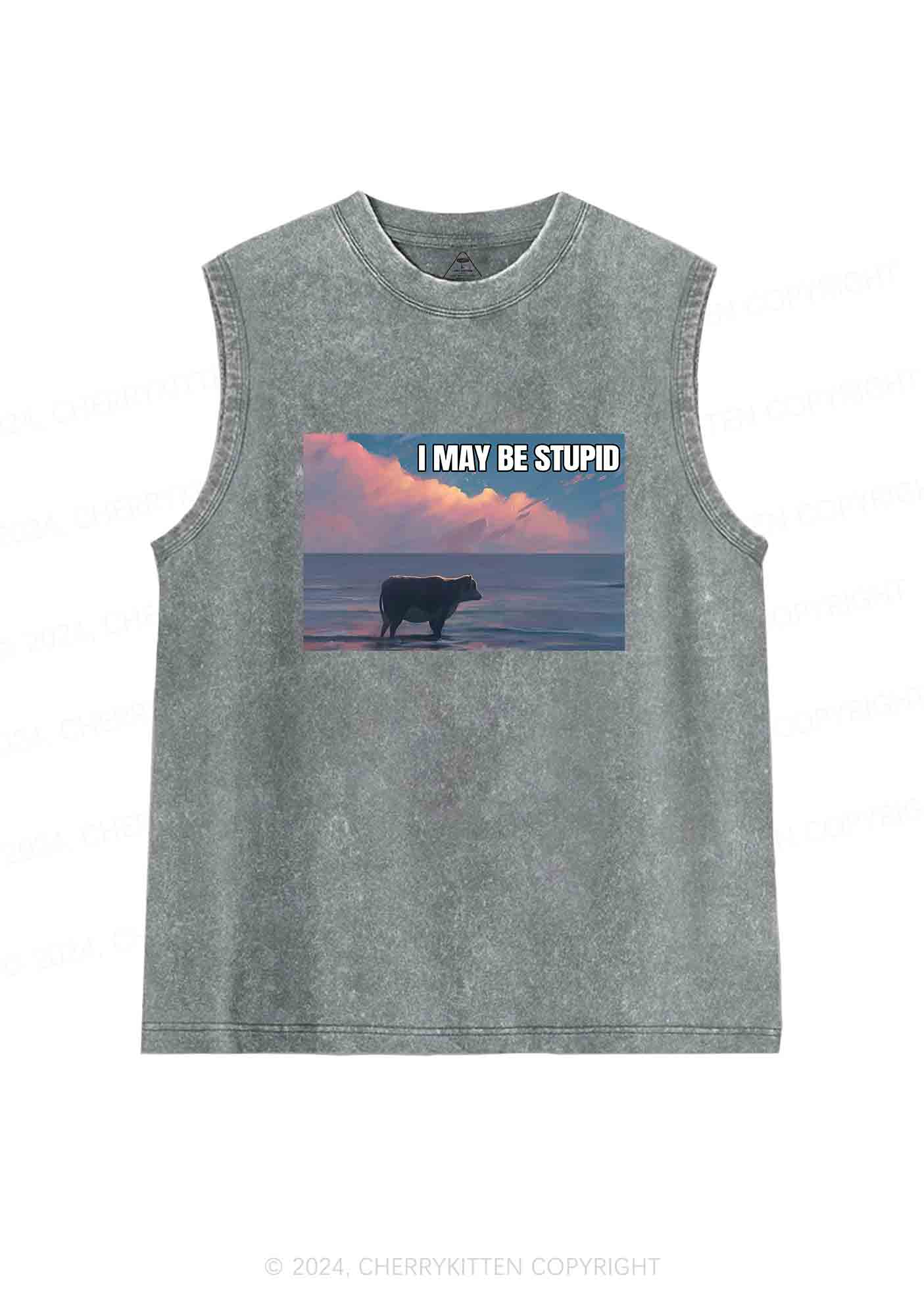 I May Be Stupid Meme Y2K Washed Tank Cherrykitten