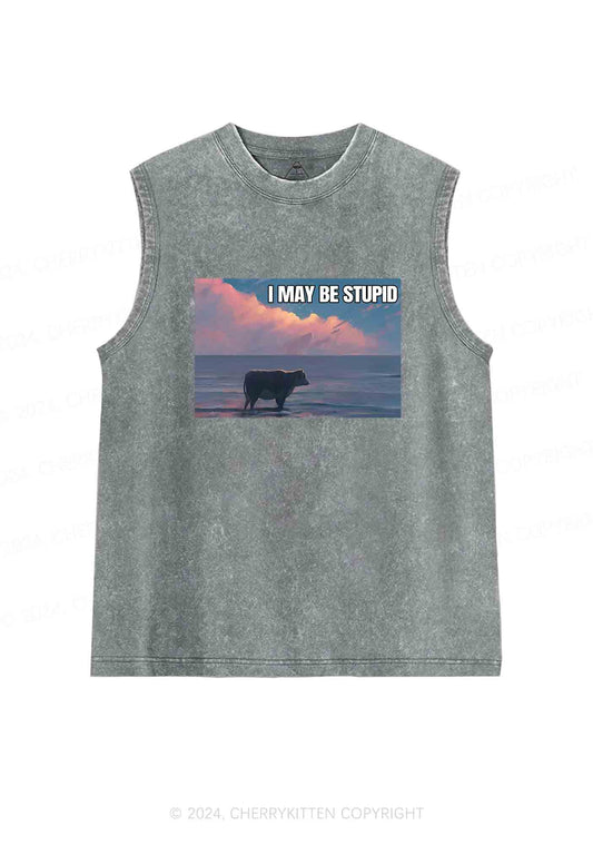 I May Be Stupid Meme Y2K Washed Tank Cherrykitten