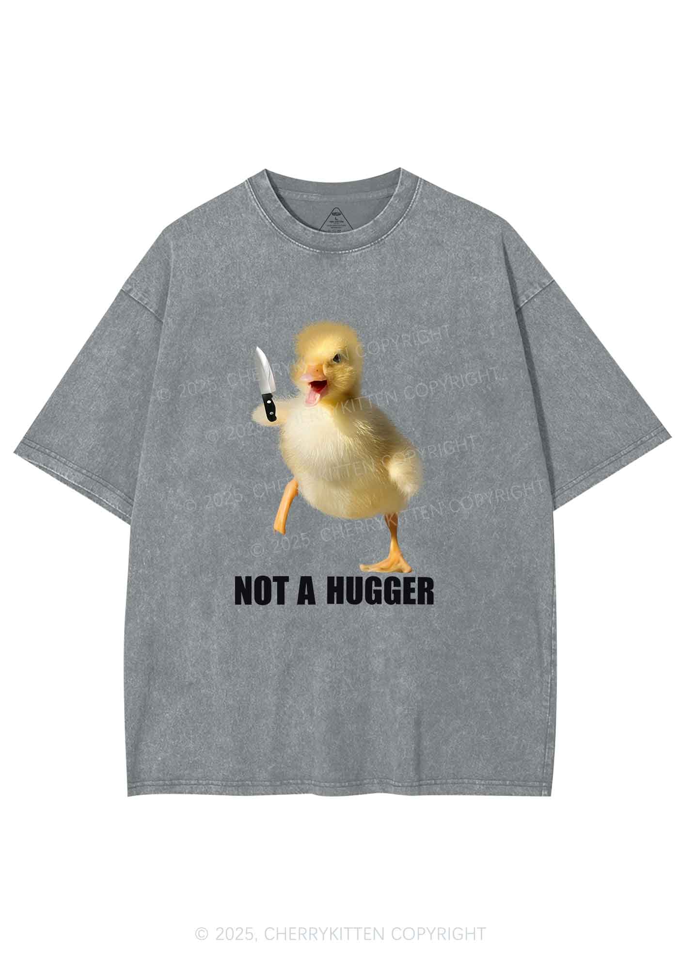 Not A Hugger Y2K Washed Tee Cherrykitten