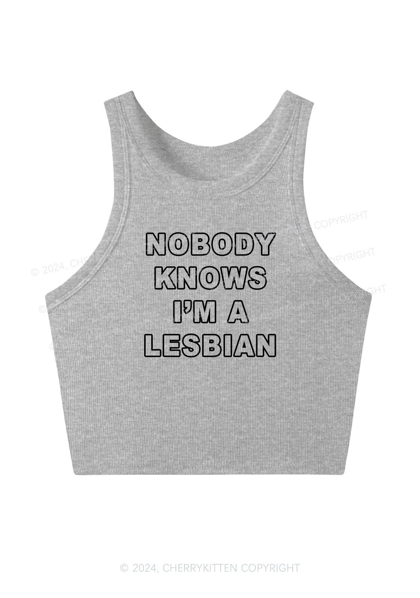 I'm A Lesbian Y2K Crop Tank Top Cherrykitten