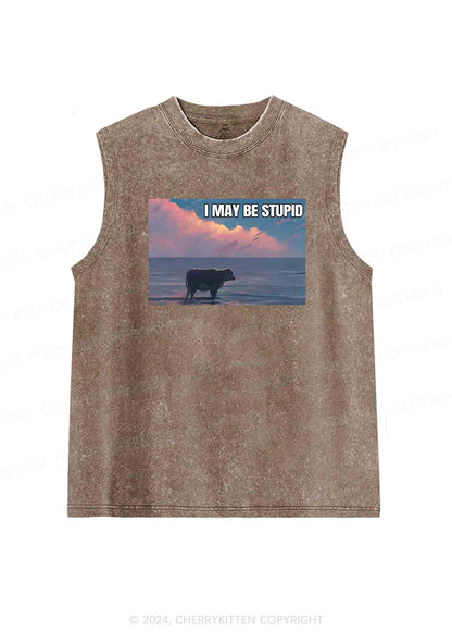 I May Be Stupid Meme Y2K Washed Tank Cherrykitten