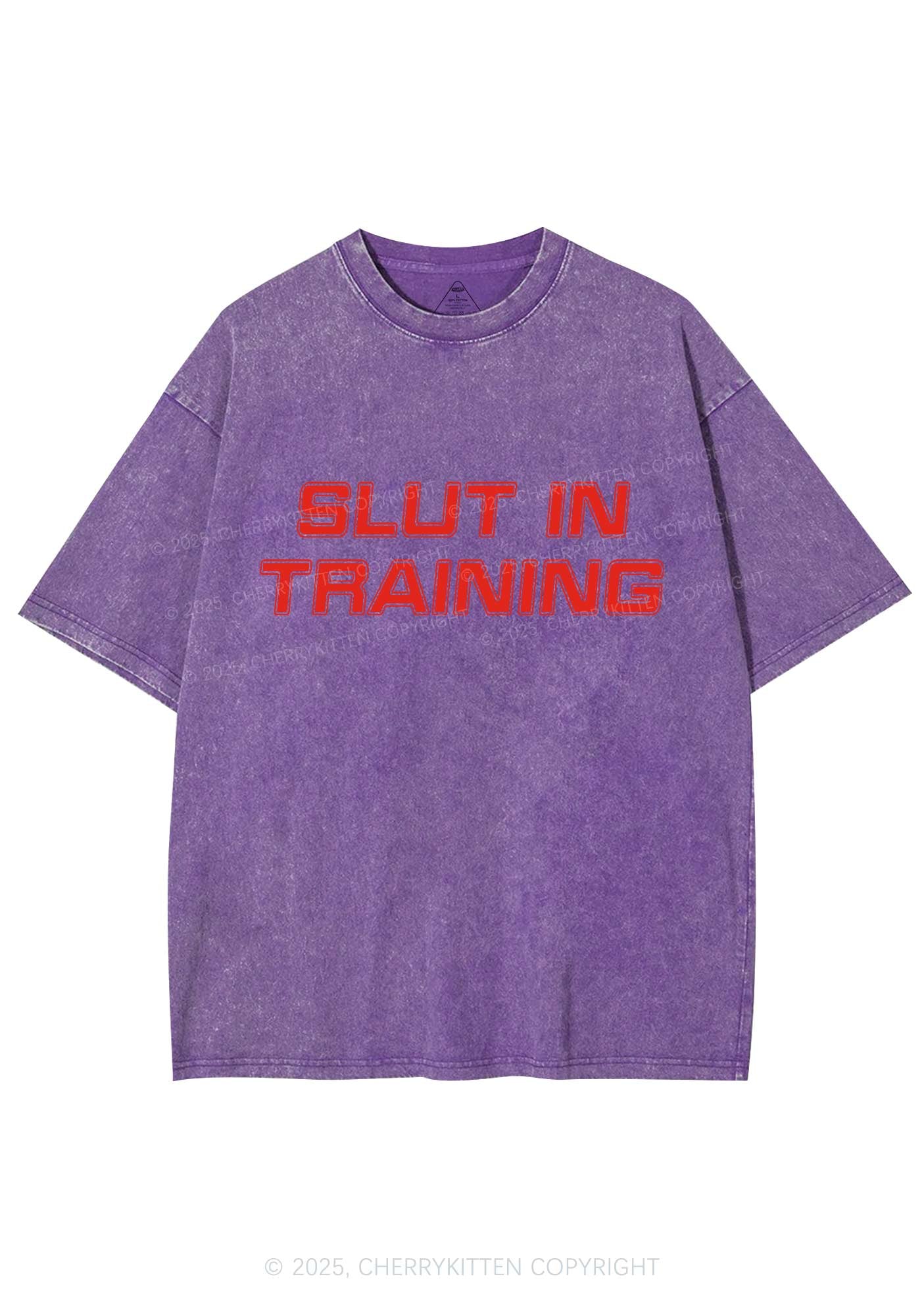 Slxt In Training Y2K Washed Tee Cherrykitten