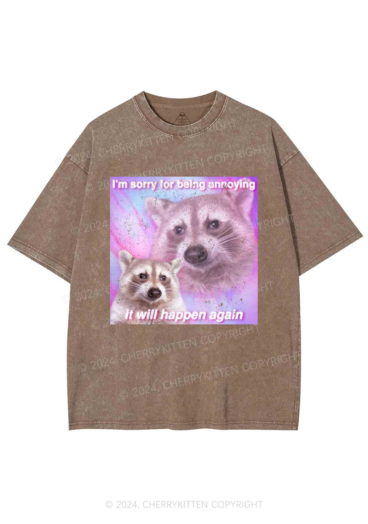 Sorry For Being Annoying Y2K Washed Tee Cherrykitten