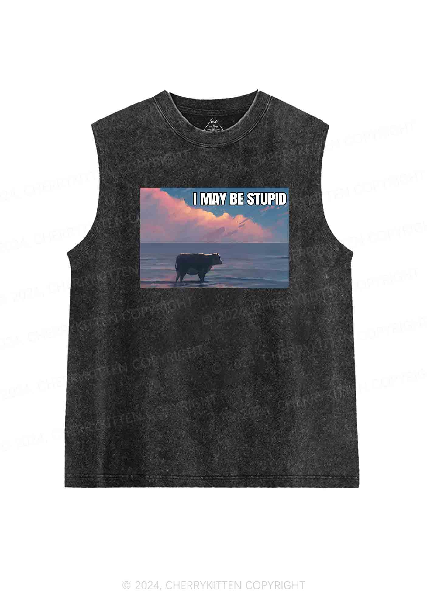 I May Be Stupid Meme Y2K Washed Tank Cherrykitten