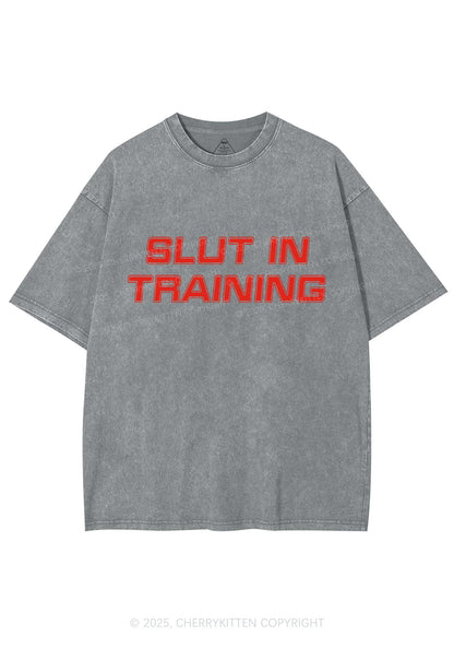 Slxt In Training Y2K Washed Tee Cherrykitten